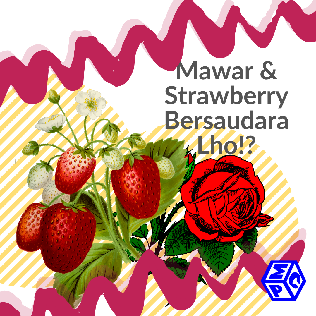 strawberry dan mawar