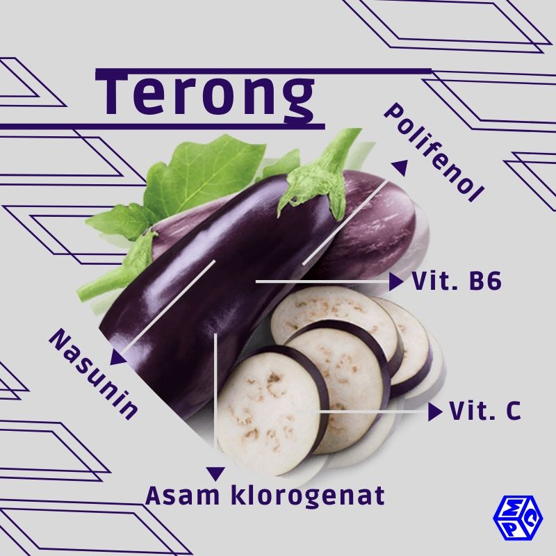 berkenalan dengan terong