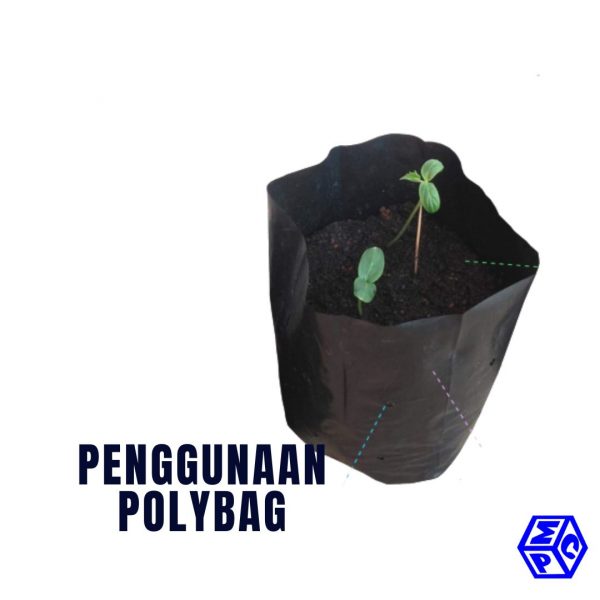 Penggunaan Polybag Dalam Pertanian Ternyata Banyak Banget Pt